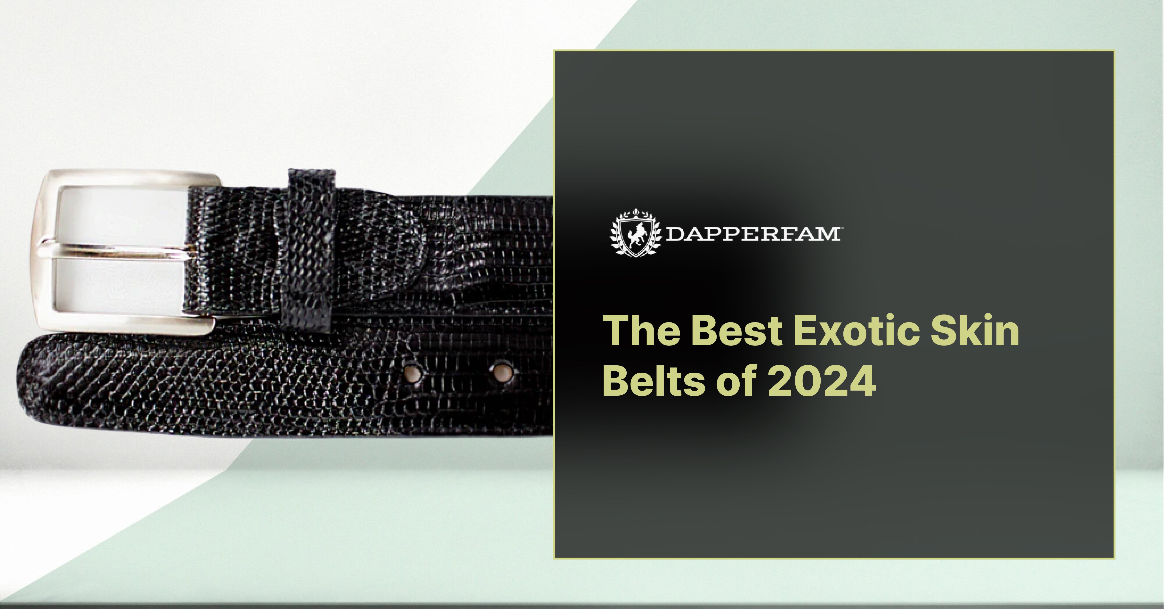 The Best Exotic Skin Belts of 2024 DAPPERFAM