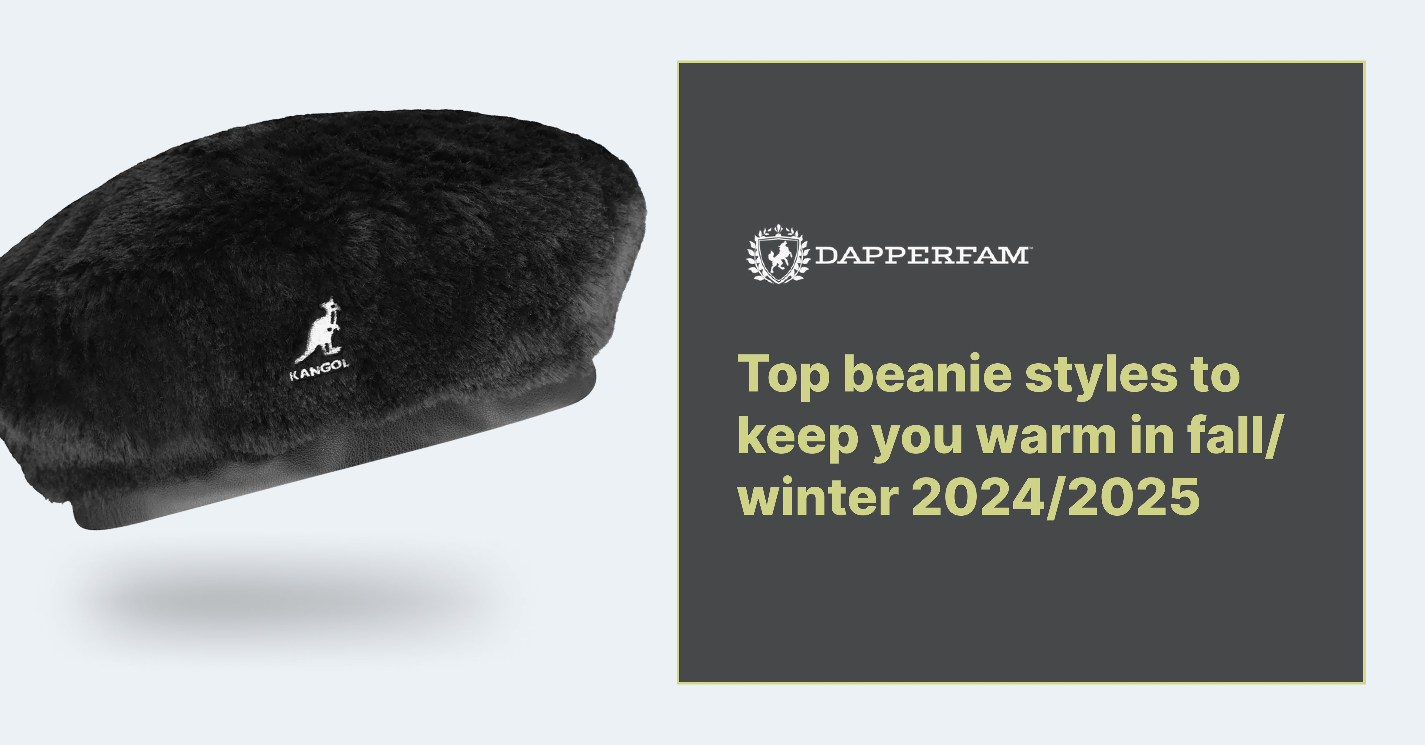Top beanie styles to keep you warm in fall/winter 2024/2025 – DAPPERFAM