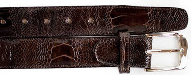 Belvedere Genuine Ostrich Leg Belt in Chocolate Brown in Chocolate Brown 44 #color_ Chocolate Brown 44