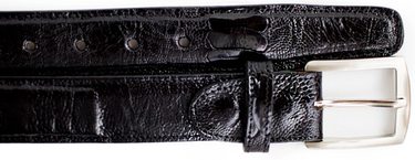 Belvedere Ostrich Leg Belt in Black in Black 44 #color_ Black 44