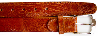 Belvedere Ostrich Leg Belt in Burned Amber in Burned Amber 44 #color_ Burned Amber 44