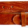 Belvedere Ostrich Leg Belt in Burned Amber in Burned Amber 44 #color_ Burned Amber 44