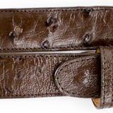 Belvedere Ostrich Quill Belt in Brown in Brown 44 #color_ Brown 44