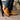 DapperFam Monza in Orange Men's Chelsea Boot in #color_