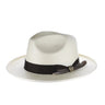 Dobbs Arlo Shantung Toyo Fedora with Brim Curl in Natural / Brown #color_ Natural / Brown